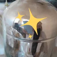 شیشه فلاسک