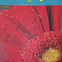 کتاب|کتاب و مجله ادبی|گرگان, |دیوار