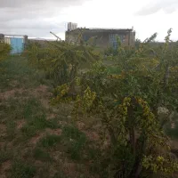 باغ فوروشی اول دستیک