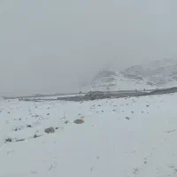 فروش-باغ-2500-چهل-چشمه-دوکوهک