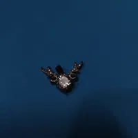 پلاک ، دستبند، گوشواره