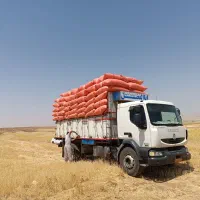 فروش کاه دیم