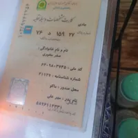 پیدا شده
