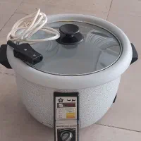 پلوپز برقی کارکرده