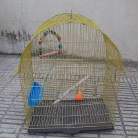 قفس عروس