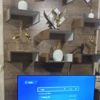 پشت تی وی ام دی اف