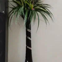 گلدان