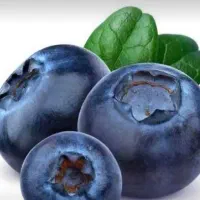 کارگر ساده،جهت کار در هایپرمیوه