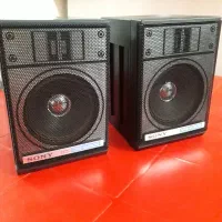باندضبط سونیW600