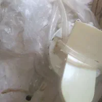 شیردوش|اسباب و اثاث بچه|جونقان, |دیوار