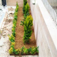 خدمات باغبانی تعویض خاک گلدان کاشت گل باغبان سمپاش