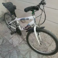 دوچرخه 24