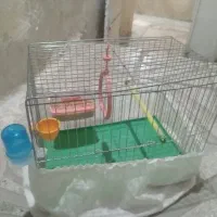 معاوضه باقفس بزرگتر