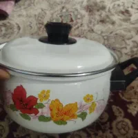دیگ سالم نو