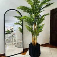 درختچه وارداتی به قیمت عمده تعداد محدود