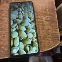 فروش گوشی سامسونگ ۰۷