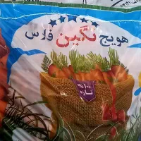 راننده نیسان با گواهینامه پایه ۲