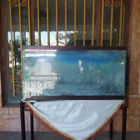اکواریم