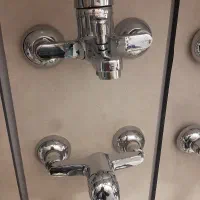 شیر حمام با علم دوش