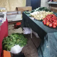 شراکت میوه فروشی میدان باغا