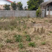 زمین مسکونی ۲۵۰ متر بر آسفالت