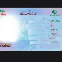 گمشده در شیراز (کیف جیبی قهوه ای)