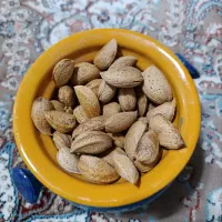 بادام درختی