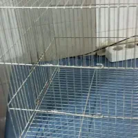قفس پرنده