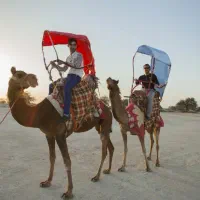 شتر ارام برای محرم