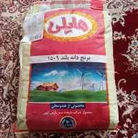 برنج دانه بلند هایلی