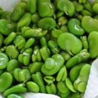 باقالی