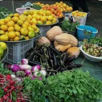 محصولات محلی گیلان