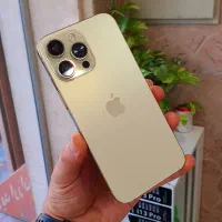 ایفون 13مکس شرکتی