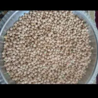 فروش نخود