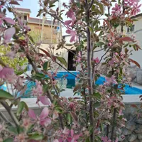 ویلای لوکس ۵۰۰ متری|فروش خانه و ویلا|تهران, شهرک امید|دیوار