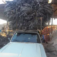 نوار تیپ قطره ای