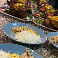 تور نیم روزه رادکان