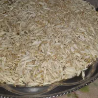 بهار نارنج