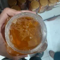 عسل۱۰۰ طبیعی درجه  یک گلستان ، ارسال رایگان