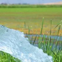 فروش-زمین-کشاورزی