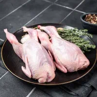 بلدرچین سنگین تازه کشتار روز