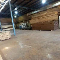 استخدام کارگر ساده در چوب بری