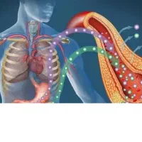 کنترل دیابت بدون قرص و انسولین