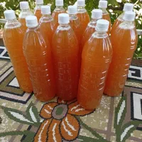 فروش ابغوره طبیعی