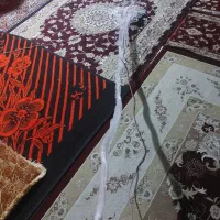 تورپرتابی