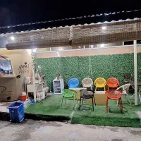 نیروی کار خانم
