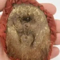قطعه چرخ خیاطی اصل