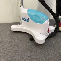 اتو بخار ایستاده طوبی tobi