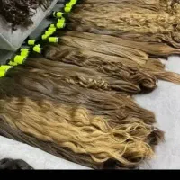 خریدار اصلی مو خریدبا بالاترین قیمت