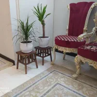 صندلی و میز ناهار خوری تمام چوب ۸ نفره